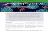 A Stromal Lysolipid–Autotaxin Signaling Axis …...MAY 2019 CANCER DISCOVERY | 617 RESEARCH BRIEF A Stromal Lysolipid–Autotaxin Signaling Axis Promotes Pancreatic Tumor Progression