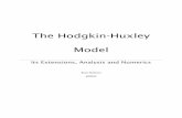 The Hodgkin-Huxley Model - California Institute of Technologymatilde/HodgkinHuxleyModel.pdf · The Hodgkin-Huxley model is based on the parallel thought of a simple circuit with batteries,