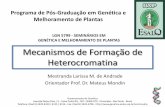 Mecanismos de Formação de Heterocromatina · Mecanismos de Formação de Heterocromatina Mestranda Larissa M. de Andrade Orientador Prof. Dr. Mateus Mondin LGN 5799 - SEMINÁRIOS