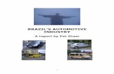 TABLE OF CONTENTS - SMMT · TABLE OF CONTENTS Subject Page PROLOGUE 5 - Brazil : Land of Plenty - The importance of Brazil‟s automotive sector - About this report POLITICAL & ECONOMIC