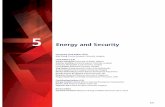 Energy and Security · high energy intensity, and rapid demand growth. In many low-income countries, multiple vulnerabilities overlap, making ... poor energy-exporting nations are