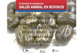 Presentación de PowerPointºblicos/INIA Tacuarembó/2018/Destacada VI... · • Hemovacuna: disminuir muertos y enfermos por tristeza • Medidas de bioseguridad : evitar introducción