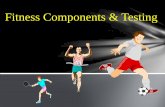 Fitness Components & Testingvcephysicaleducation.weebly.com/uploads/1/6/1/2/16126580/... · 2018-10-13 · Alactacid tests (A.T.P\C.P system energy production) Margaria stair run