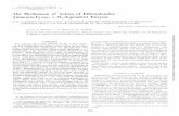 The Mechanism of Action of Ethanolamine Ammonia-Lyase, a B ... · 2. Time course of the deamination of singly and doubly deuterated ethanolamine. Reaction mixtures contained 74 pg