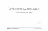 WATER FLOW IN MULGA AREAS ADJOINING FORTESCUE MARSH · WATER FLOW IN MULGA AREAS ADJOINING FORTESCUE MARSH Report of observations from field trials undertaken for Fortescue Metals