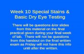 Week 10 Special Stains & Basic Dry Eye Testing · 2016-11-13 · Week 10 Special Stains & Basic Dry Eye Testing There will be questions &/or slides from this material on the final