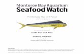 Costa Rica and Peru Drifting longlines - Seafood Watch · Summary Mahi mahi (Coryphaena hippurus) is found worldwide in tropical and subtropical waters. This assessment focuses on