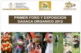 Para lograr la sustentabilidad, calidad y · 1. Presentar el programa estratégico “Oaxaca Orgánico 2011 – 2016” 2. Informar y analizar los resultados de las acciones de Oaxaca