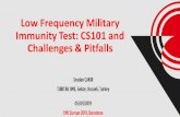 Low Frequency Military Immunity Test: CS101 and Challenges ... · Low Frequency Military Immunity Test: CS101 and Challenges & Pitfalls Soydan ÇAKIR TUBITAK UME, Gebze, Kocaeli,
