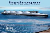 hydrogen...In The Hydrogen Economy (2003), Jeremy Rifkind calls for hydrogen to become the principal energy carrier in a sustainable society. Hydrogen (H) is the most common element