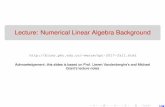 Lecture: Numerical Linear Algebra Backgroundbicmr.pku.edu.cn/~wenzw/opt2015/09_num-lin-alg_new.pdf · 2019-01-14 · 2/38 Introduction matrix structure and algorithm complexity solving