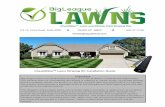 CheckMate™ Lawn Striping Kit Installation GuideCheckMate™ Lawn Striping Kit Installation Guide Important Big League Lawns, LLC warrants their products to be free of defects in