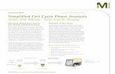 Muse Cell Cycle Tech Brief - Luminex Corporation · The Muse™ Cell Cycle Assay can be used for a variety of cellular treatment conditions and for studying the impact of cell cycle-disrupting