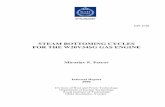 STEAM BOTTOMING CYCLES FOR THE W20V34SG …503761/...HPT 07/06 STEAM BOTTOMING CYCLES FOR THE W20V34SG GAS ENGINE Miroslav P. Petrov Internal Report 2006 Division of Heat and Power