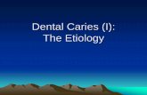 Dental Caries (I): The Etiologygceohrd.so-buy.com/ezfiles/gceohrd/img/img/139055/1stweek-Dr.Wang.pdf · 6.Chemo-parasitic theory: blend of two theories. 7.Proteolytic theory: organic