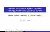 Complex Structures in Algebra, Geometry, Topology ...makarenkov/nads/Slides/Zalman.pdfComplex Structures in Algebra, Geometry, Topology, Analysis and Dynamical Systems Zalman Balanov
