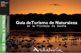 en la provincia de Sevilla Guía deTurismo de Naturalezanico de ofertas de ocio en la naturaleza donde poder observar y disfrutar de la vida silvestre en el campo sevillano. De la