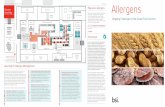 0263 Food Allergen Article NOV2016 cc2015 - BSI Group White... · 2018-02-09 · 5 Major ingredients Minor ingredients Ingredient batching area Container wash Dough production area