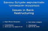 Issues in Bank Restructuringsiteresources.worldbank.org/INTMONGOLIA/Resources/... · эрсдэл, өртөг зардлыг бууруулах Хууль дүрэм, тогтоомжийн