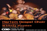 Harlem Gospel Choir - CAE 4_2012_e.pdf · Harlem Gospel Choir MÚSICA Concerto de Ano Novo 5 de janeiro, 21h30 Filarmónica Boa Vontade Lorvanense Coro Pequenas Vozes da Figueira