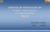 Sistema de información nacional económica pecuaria · Otras características del SICEC Entrevistas a Empresas “Ancla”: (que cuentan con registros, están auditadas y aportan