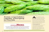 Asian vegetables rapidly emerging in Florida · crops such as Asian vegetables. The aforementioned grower has currently been operating 900 acres. Asian vegetables rapidly emerging