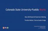 Colorado State University-Pueblo Works · Problem Statement Vision 2028 Visualization SYSTEM GOALS: Ensure student satisfaction and success. We will ensure access and affordability