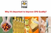 Why it’s Important to Improve CPO Quality? · Palm Oil-Where it Goes? Creating Value in the Supply Chain Market Challenges & EU Regulations 3 MCPD Esters & GE-Contaminants Source