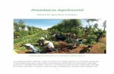 Abundancia Agroforestal - healthy-mind-body.com · Manual de Agricultura Sintrópica Trabaja para la naturaleza y la naturaleza trabajará para ti Un agradecimiento especial a Dios