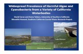 mywaterquality.ca.gov · Widespread Prevalence of Harmful Algae and Cyanobacteria from a Variety of California ... Recurrent Blue Green Algae Blooms in California Water bodies Klamath