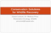 Conservation Solutions for Wildlife Recovery · Conservation Solutions for Wildlife Recovery . Hypothesis, data, & statistics-driven management decisions ... High efficiency of conversion