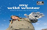 my wild winter - The Wildlife Trusts · things to do outdoors, and lots of wildlife to spot at this time of year. This booklet is packed full with ideas from The Wildlife Trusts to