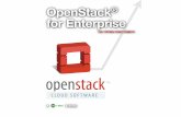 OpenStack for Enterprise - Serena Consulting Inc · Neutron: OpenStack Networking Perhaps the most-talked-about program in OpenStack is Neutron. Once dubbed Quantum, it was renamed