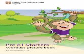 Pre A1 Starters · 100 About Pre A1 Starters Pre A1 Starters, A1 Movers and A2 Flyers is a series of fun, motivating English language exams for children in primary and lower secondary