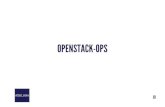 OPENSTACK-OPS · OBJECTIFS DE LA FORMATION : OPENSTACK Connaitre le fonctionnement du projet OpenStack et ses possibilités Comprendre le fonctionnement de chacun des composants d’OpenStack