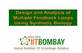 Indian Institute Of Technology, Bombay2009.igem.org/files/presentation/IIT_Bombay_India.pdf · Negative feedback SINGLE INPUT SINGLE OUTPUT (SISO) Multiple Input Multiple Output: