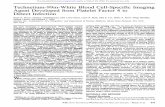 Technetium-99m-WhiteBloodCell-SpecificImaging ...jnm.snmjournals.org/content/37/4/673.full.pdf · cyte-associatedradioactivity,4mllabeledbloodweresubjectedto gradientfractionationwithNycoPrepI.068@(AccurateChemical