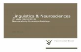 Linguistics & Neuroscienceshomepages.vub.ac.be/~estruys/Neuroanatomy_Neuroimaging... · 2012-10-16 · 16-10-2012 14 Neuroanatomy & neuromethodology Pag. Neuromethodology-Advantages