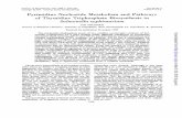Pyrimidine Nucleotide Metabolism and Pathways Thymidine ... · pyrimidine nucleotide synthesis. Since these mu-tants havelost both cytidine deaminaseandCTP synthase, their pathways