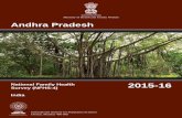 Andra Pradesh State report 03-05-2018rchiips.org/NFHS/NFHS-4Reports/AndhraPradesh.pdfAndhra Pradesh National Family Health Survey (NFHS-4) India 2015-16 Andhra Pradesh National Family