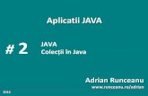 Programarea şi utilizarea calculatoarelor · Elemente introductive Modelele de date cele mai folosite (si implementate în arhitectura colectiilor Java –Java Collections Framework)