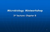 Microbiology Miniworkshop - Aalborg Universitethomes.nano.aau.dk/fp/microbio/microbiology-miniworkshop 3.pdf · 4 Microbial Metabolism Enzymes -> Catalysators Enzymesare biological
