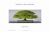 MANUAL DEL BONSAI - ornamentalvale.weebly.comornamentalvale.weebly.com/uploads/2/8/4/1/2841086/manual_del_bonsai.pdf · creamos conveniente. No obstante un bonsai obtenido desde semilla