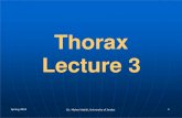 Thorax Lecture 3 · Lecture 3 Spring 2019 Dr. Maher Hadidi, University of Jordan 1. Slides of Anatomy Please Note: These slides were edited by the ... pleural sacs. Borders: • Thoracic
