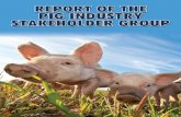 REPORT OF THE STAKEHOLDER GROUP - Agriculture · REPORT OF THE PIG INDUSTRY STAKEHOLDER GROUP | 5 The application of LEAN based systems at each step of the supply chain including
