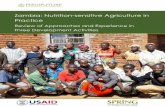 Zambia: Nutrition-sensitive Agriculture in Practice · Zambia: Nutrition-sensitive Agriculture in Practice. Review of approaches and experience in three development activities. Arlington,
