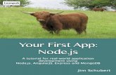 Your first app: nodesamples.leanpub.com/yfa-nodejs-sample.pdf · Introduction Ifyouwanttolearnhowtowriteaqualityapplicationusingnode.jsandvariousrelatedtools,you’relooking …