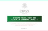 INDICADORES BÁSICOS DEL SECTOR DE DESARROLLO SOCIAL · •Componentes de los indicadores de carencia social con base en el MCS-ENIGH 2010 - 2014, el MCS 2015 y el MEC 2016 del MCS-ENIGH