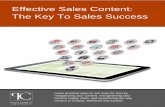 Effective Sales Content: The Key To Sales Success · 2019-07-03 · Effective Sales Content: The Key To Sales Success ©2013 Profitable Channels | (203) 912 ... the customer mindset