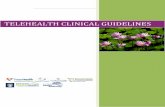 TELEHEALTH CLINICAL GUIDELINES · Professional Practice Standards when addressing ethical concerns and issues that arise due to the use of Telehealth (e.g.) if the Telehealth service